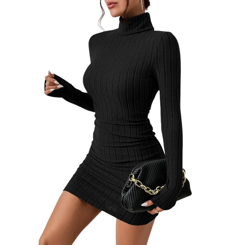 Elegant Turtleneck Bodycon