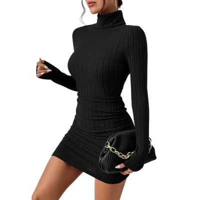 Elegant Turtleneck Bodycon